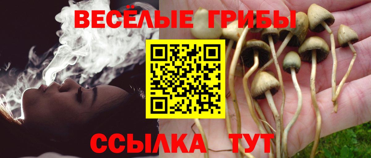 купить   Вход с VPN  Жигулёвск  Галлюциногенные грибы мухоморы  Псилоцибиновые грибы Magic Shrooms 