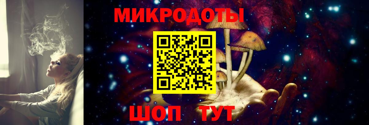 Псилоцибиновые грибы мицелий Жигулёвск